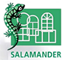 salamander.png